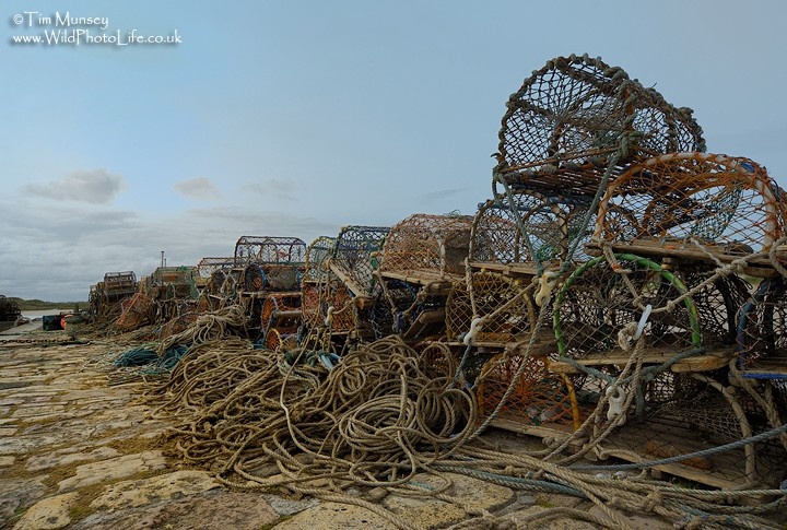 Lobster Pots May07.jpg